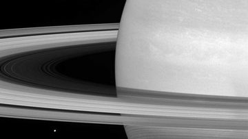 Saturn as seen by the Cassini spacecraft. (NASA)