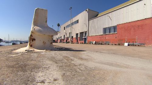 The industrial site hasn't been open to the community for the past 150 years. (9NEWS)