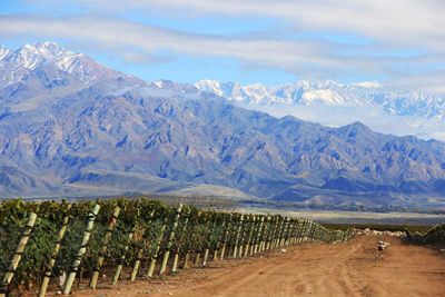 1. Zuccardi Valle de Uco, Argentina *Best in South America*