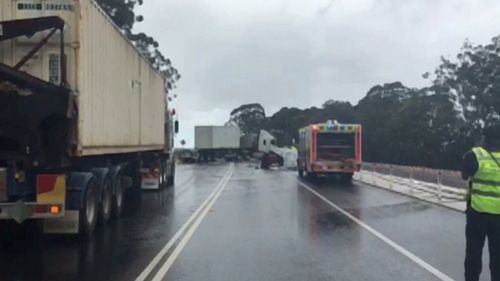 Woman and teenage son killed in Princes Highway smash