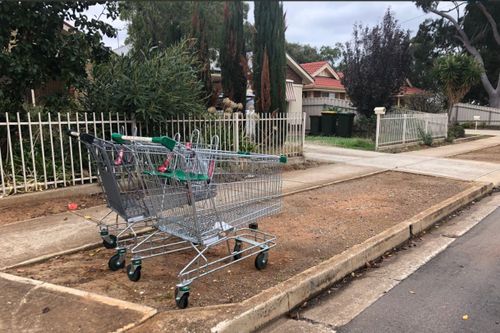 Marion Council workers collected more than 230 dumped trolleys from the area in just four days. Picture: 9NEWS