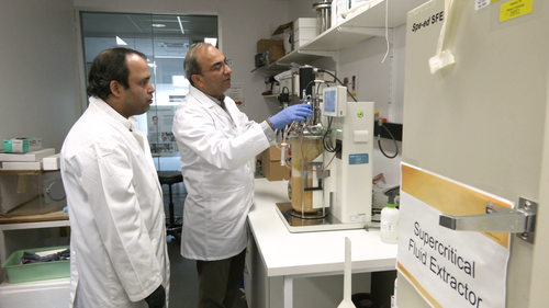 Associate Professor Munish Puri, a medical biotechnology researcher in Flinders University's College of Medicine and Public Health, reveals ocean organism could make animal-free meat.