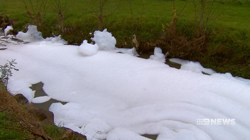 The creek was left covered in foam. (9NEWS)