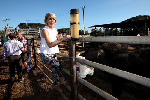 The Foreign Minister is in the Northern Territory to showcase its value to diplomats. Picture: AAP