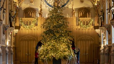 The Queen's Christmas trees, Windsor Castle