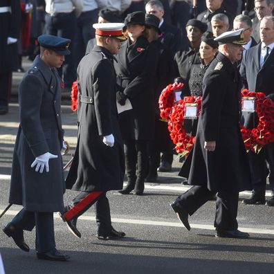 Prince William and Prince Harry reunite for Remembrance Day events