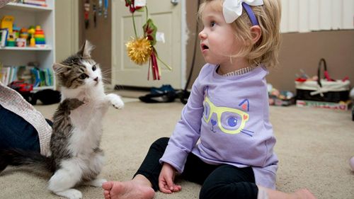 Toddler who lost arm to cancer receives three-legged kitten for Christmas