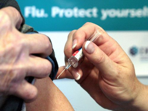 The flu has hit 200 people at a single Brisbane school.