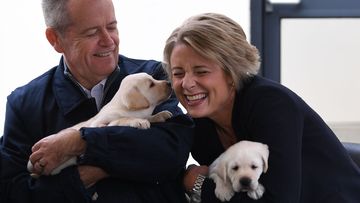 Bill Shorten and Kristina Keneally play with Labrador puppies Bill and Beau during a visit to Guide Dogs Victoria.