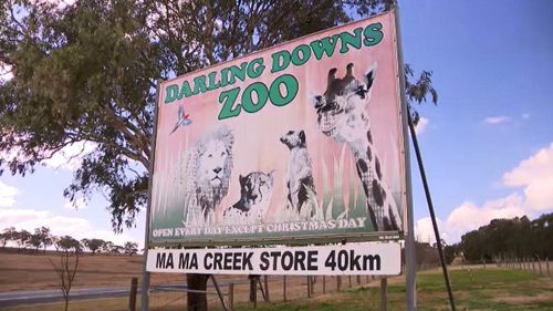 A﻿ zoo keeper is having emergency surgery in hospital being "grabbed" by a big cat at a zoo in southern Queensland.Emergency services were called to Darling Downs Zoo in Pilton, south of Toowoomba, this morning after the woman was attacked in an enclosure by one of the big cats.