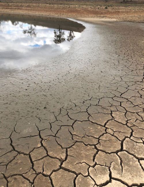 The World Meteorological Organisation has predicted a 70 percent chance of an El Niño event occurring before the end of the year.