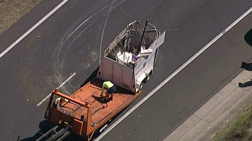 No people were injured in the crash. (9NEWS)