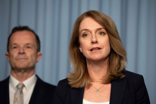 falar com a mídia no Parlamento depois que Sloane recebeu ameaças em X em resposta à sua condenação do comício neonazista de sábado fora do Parlamento. Segunda-feira, 10 de novembro de 2025. Foto: Sitthixay Ditthavong