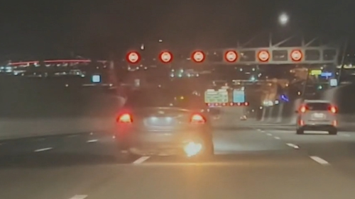 A group of hoons condemned by police after filming themselves performing dangerous stunts on a Brisbane bridge.