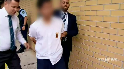 The now 18-year-old will has spent almost two years in custody and will be sentenced next month over a stabbing attack on three people at Bonnyrigg High School.