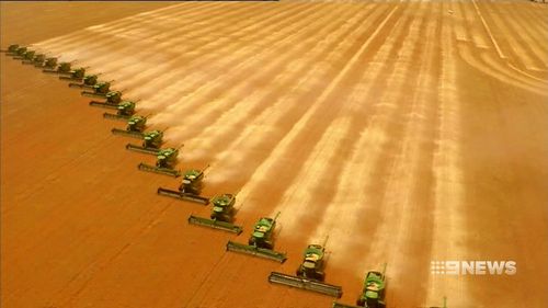 Wheat harvesters in WA.