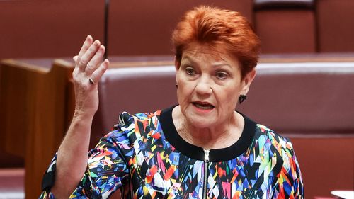 One Nation leader Senator Pauline Hanson in the Senate at Parliament House in Canberra on Tuesday 25 November 2025. fedpol Photo: Alex Ellinghausen