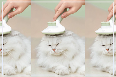 9PR: Michu Cream Round-Head Pet Grooming Brush