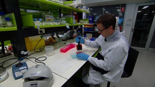 Researchers are analyzing blood taken from patients to find out more about the syndrome.