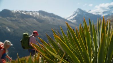The Summit 2023 spaniard speargrass exclusive video