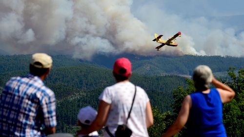 Firefighting plane crashes battling devastating forest blazes in Portugal