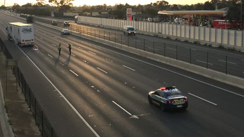 It is believed the pedestrian was struck first by a car and then a truck on the freeway.