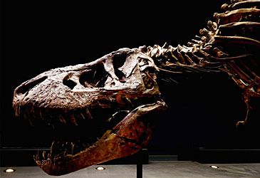 Which animal is the closest living relative of Tyrannosaurus rex?