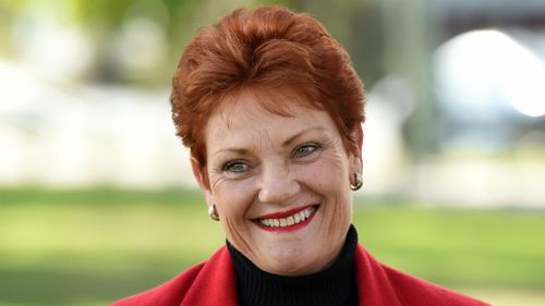 Senator-elect Pauline Hanson earlier this week. (AAP)