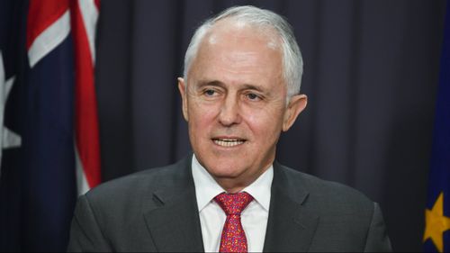 Prime Minister Malcolm Turnbull has urged the Senate to back his tax cuts plan.