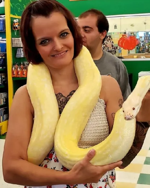 Laura Hurst was found dead with a 2.4 metre python wrapped around her neck on Wednesday.