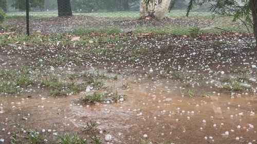 NSW christmas day hail