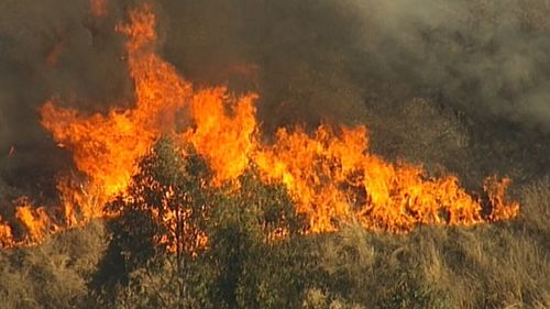 Firefighters are conducting back-burning across NSW, including Nowra on the south coast.