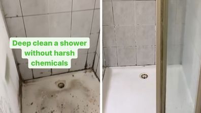 Shower cleaning hacks TikTok