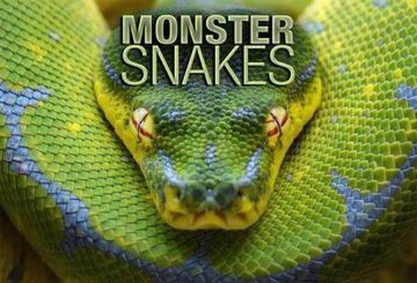 Monster Snakes