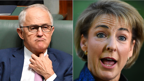 PM Turnbull 'accepts' Senator Michaelia Cash's apology for late declaration of million dollar property