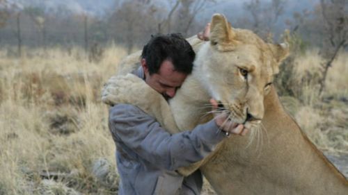 Astonishing images show love between ‘lion whisperer’ and his big cats