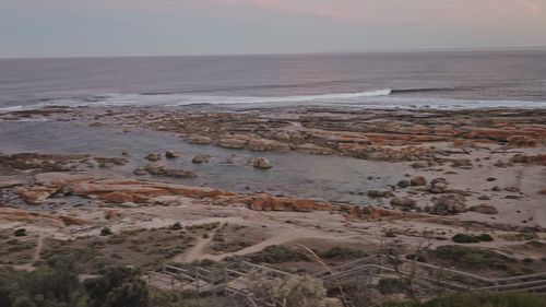 The search for the body of a shark attack victim will continue off a South Australian beach today.