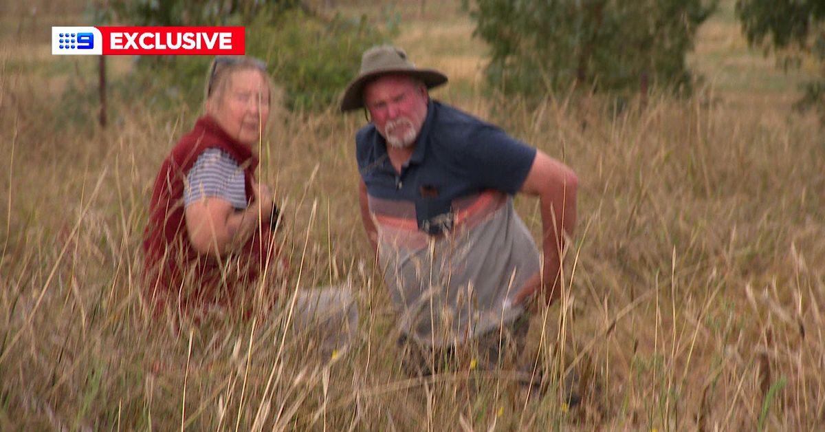 Couple charged over alleged murder of NSW teen who vanished nearly 20 years ago - 9News