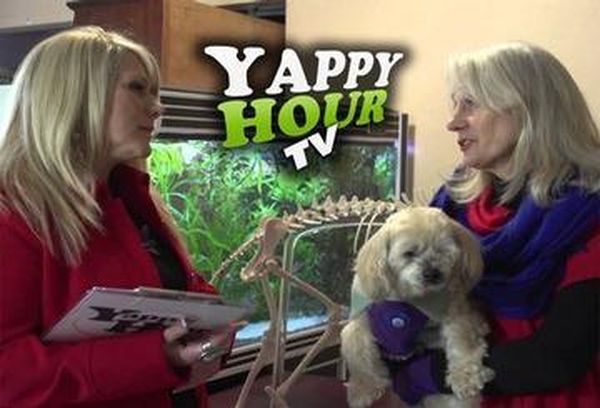 Yappy Hour TV