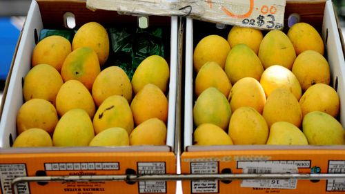 Australia's most popular mango expected to be in short supply this summer