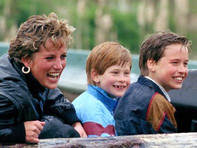 Princess Diana and her sons William and Harry at Thorpe Park