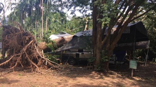 A caravan was also crushed by a falling tree. (9NEWS)