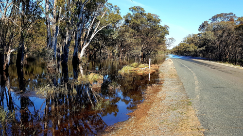 The Murray River Council warns the road conditions are changing quickly as the Murray River swells. It's urged residents along river communities not to drive through floodwaters