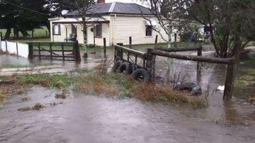 Man found neck-deep in Victoria floodwaters rescued