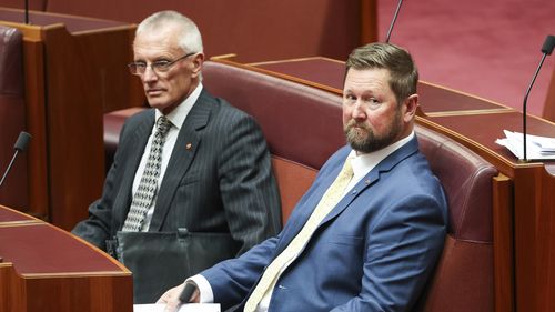 One Nation Senators Warwick Stacey and Tyron Whitten during a division in the Senate at Parliament House in Canberra on Tuesday 29 July 2025.
