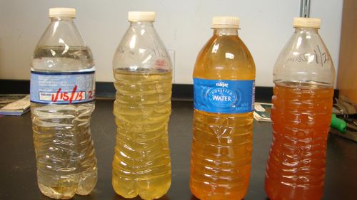 Water samples from Flint. (FlintWaterStudy.org)