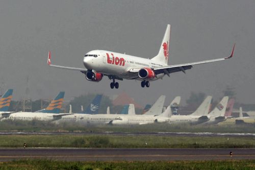 Indonesia's Lion Air said they will hasten the report on last year's fatal plane crash after this week's Ethiopian disaster.