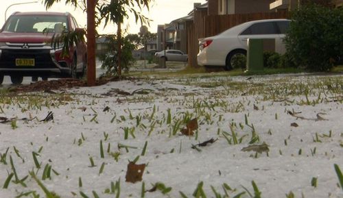 Sydney experienced a blanketing of hail yesterday afternoon.