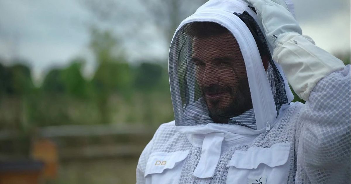 David Beckham trademarks name for honey business, making beekeeping hobby official