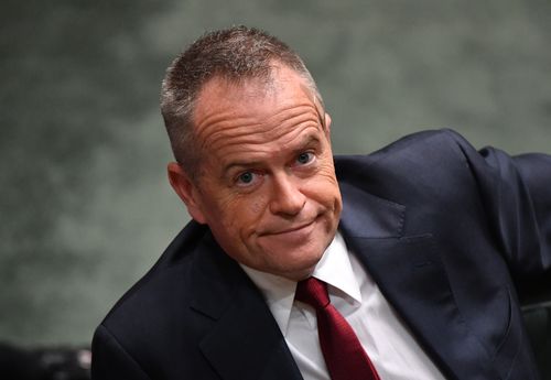 Opposition leader Bill Shorten said Labor only partly supported the government's plan. Picture: AAP